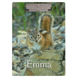 Carpeta De Pinza Chipmunk en el Parque Nacional Glaciar