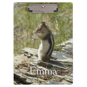 Carpeta De Pinza Chipmunk en el Parque Nacional Glaciar II