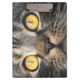 Carpeta De Pinza Cierre de gato con ojos amarillos