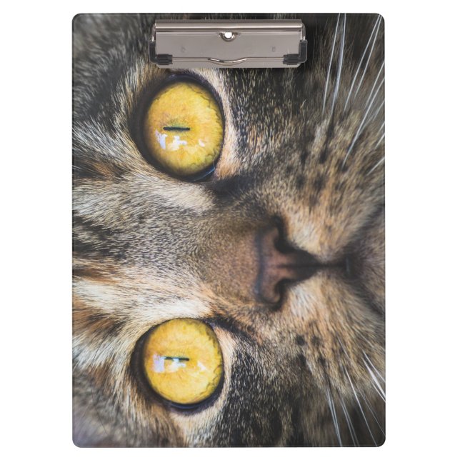 Carpeta De Pinza Cierre de gato con ojos amarillos (Anverso)