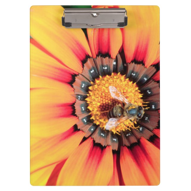 Carpeta De Pinza Cierre Extremo De Un Polen Colectivo De Abejas (Anverso)