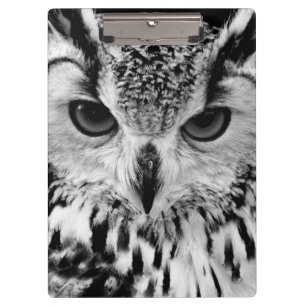 Carpeta De Pinza Ciérrese encima del retrato del Eagle-búho