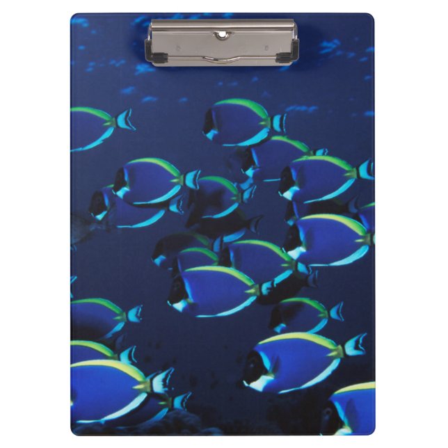 Carpeta De Pinza Cirujano azul en polvo para escuela (Anverso)