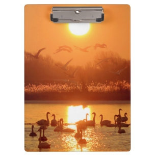 Carpeta De Pinza Cisnes en el lago Sunset