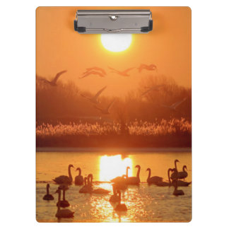 Carpeta De Pinza Cisnes en el lago Sunset