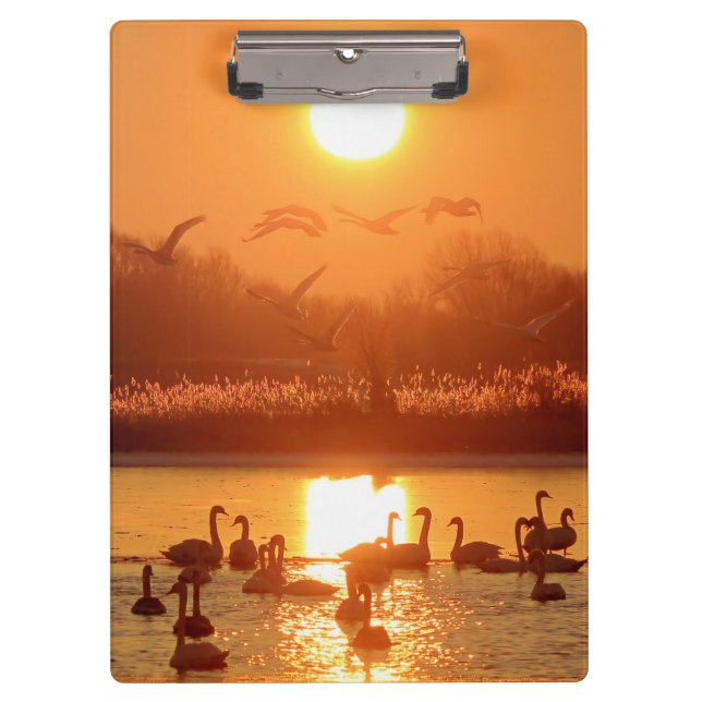Carpeta De Pinza Cisnes en el lago Sunset (Anverso)
