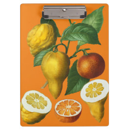 CARPETA DE PINZA CITRUS FRUIT