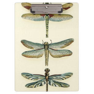 Carpeta De Pinza Colección de la libélula de Chariklia Zarris