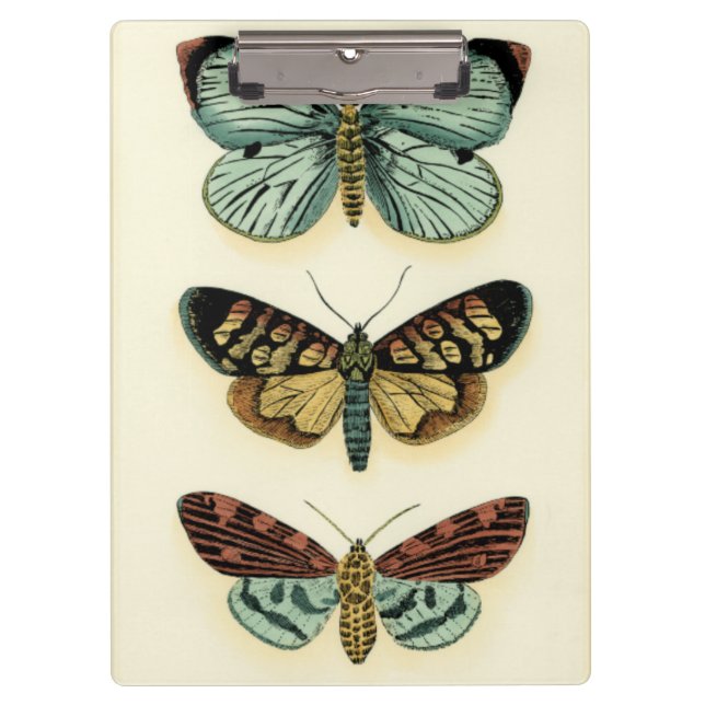 Carpeta De Pinza Colección de la mariposa de Chariklia Zarris (Anverso)
