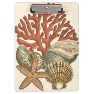 Carpeta De Pinza Colección Sealife