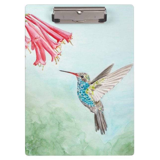 Carpeta De Pinza Colibrí (Anverso)