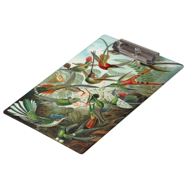 Carpeta De Pinza Colibríes de Ernst Haeckel, aves vitícolas (Angular)