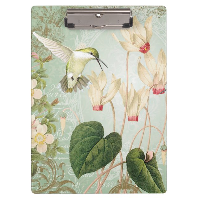 Carpeta De Pinza Colibríes modernos del francés del vintage (Anverso)