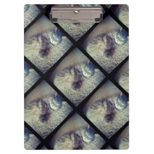 Carpeta De Pinza Collage de un gato por Shirley Taylor