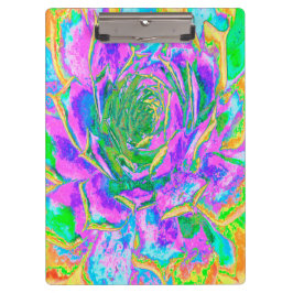 Carpeta De Pinza Colores arcoiris Fiesta Suculento Sedum Rosette