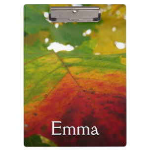 Carpeta De Pinza Colores de la fotografía de la naturaleza otoñal d
