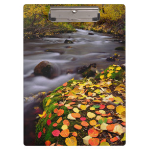Carpeta De Pinza Colores de otoño a lo largo de McGee Creek