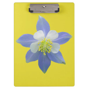 Carpeta De Pinza Columbina 2