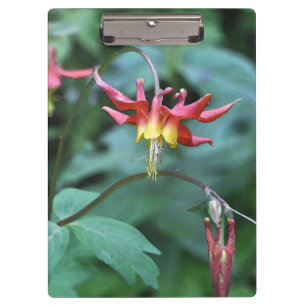 Carpeta De Pinza Columbina roja