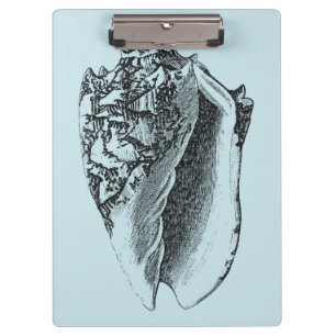 Carpeta De Pinza Concha Aqua