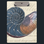 Carpeta De Pinza Concha de mar romántica<br><div class="desc">¿Vives lejos de la playa? Sin más. Consigue esta romántica pintura de conchas marinas para que puedas imaginarte sentado en una playa tranquila en un cálido día soleado. Esta obra de arte idealiza el mar y las pequeñas olas que te dejarán ansioso por visitar la playa. Obtén este panel de...</div>