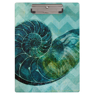 Carpeta De Pinza Concha espiral Shell de la turquesa