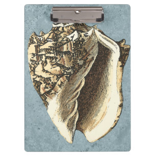 Carpeta De Pinza Concha lavada a la piedra Shell