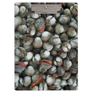 Carpeta De Pinza Conchas de cucarachas de sangre