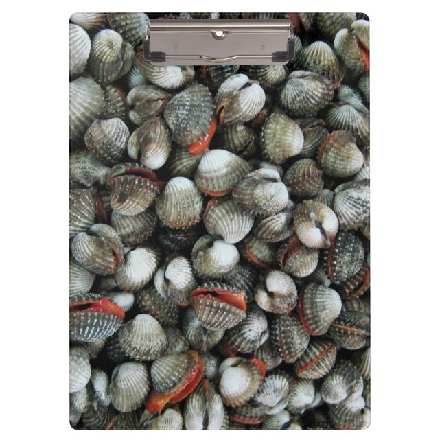 Carpeta De Pinza Conchas de cucarachas de sangre (Anverso)