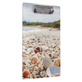 Carpeta De Pinza conchas marinas en la playa