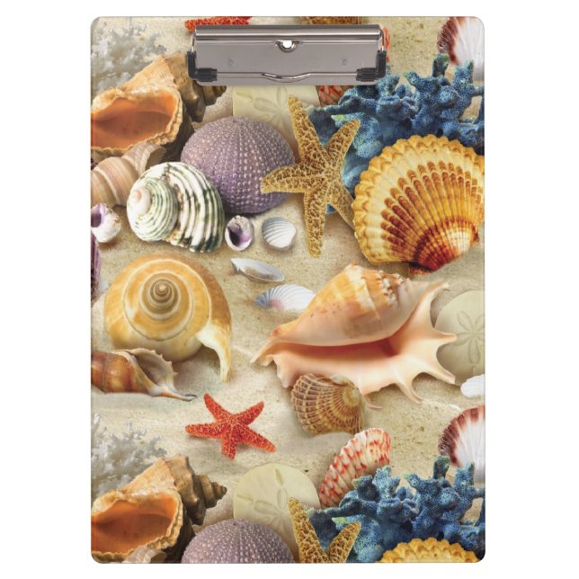 Carpeta De Pinza conchas marinas en la playa (Anverso)