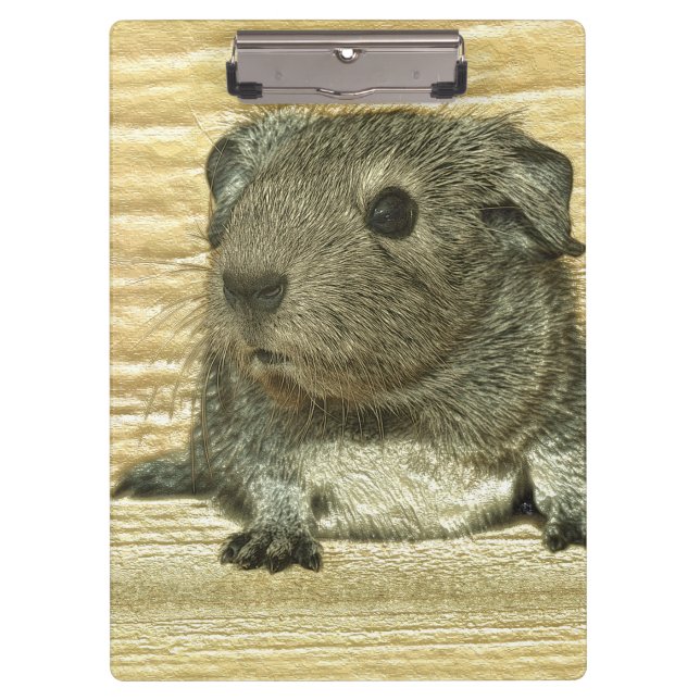 Carpeta De Pinza conejillo metalizado (Anverso)