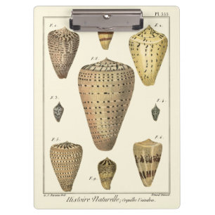 Carpeta De Pinza Conos de época