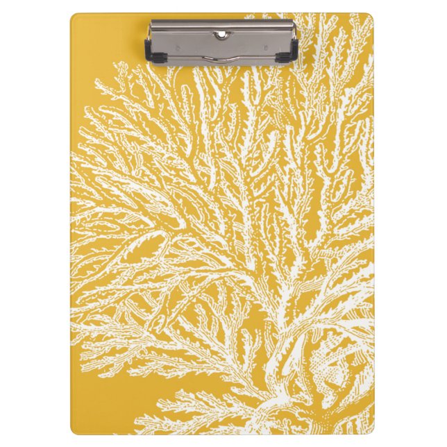 Carpeta De Pinza Coral amarillo y blanco (Anverso)