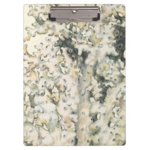 Carpeta De Pinza Coral de acuarela antigua