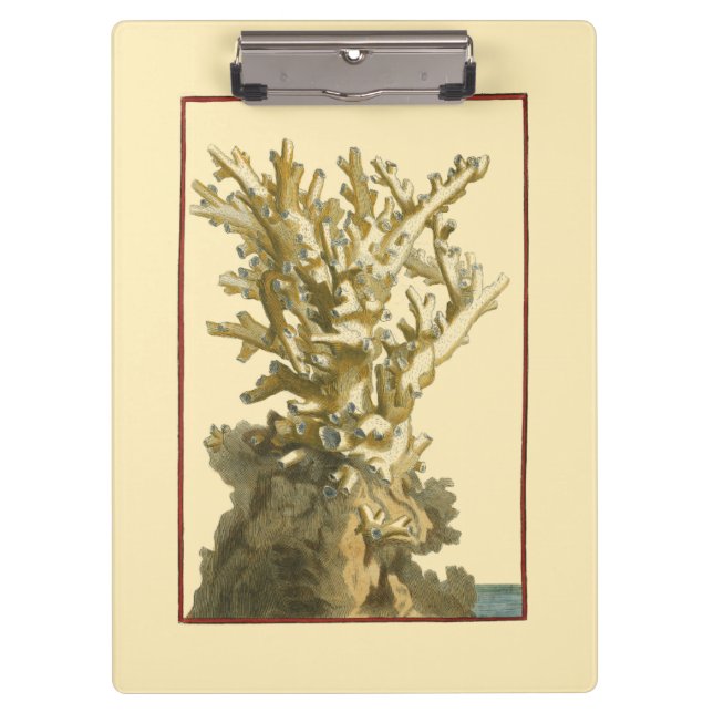 Carpeta De Pinza Coral junto al mar (Anverso)