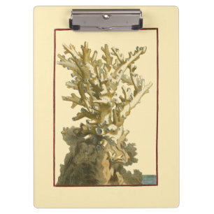 Carpeta De Pinza Coral por el mar