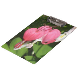 Carpeta De Pinza Corazón sangrante floral - tablero de acrílico
