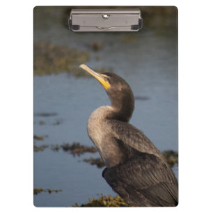 Carpeta De Pinza Cormorán de doble pecho