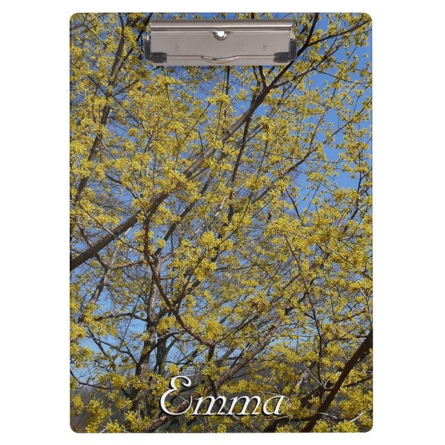 Carpeta De Pinza Cornelian Cherry Dogwood y Blue Sky Floral (Anverso)