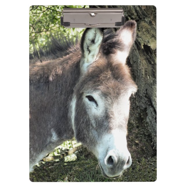 CARPETA DE PINZA CORTE DONKEY (Anverso)