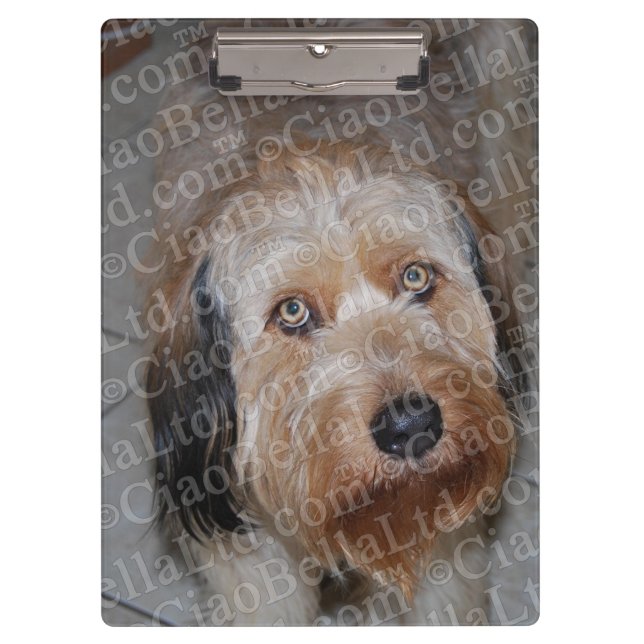 Carpeta De Pinza Cree su propio tablero de encargo de la foto (Anverso)