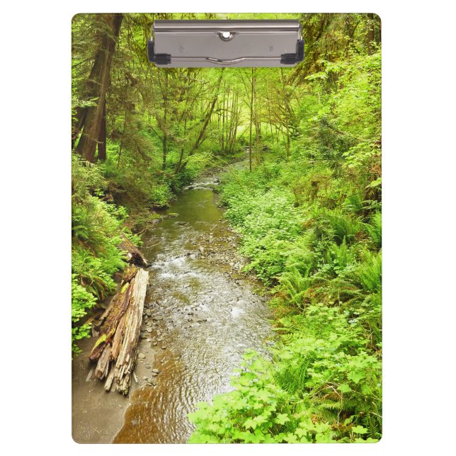 Carpeta De Pinza Creek masculino perdido II en el Parque Nacional R (Anverso)