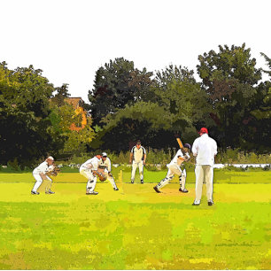 CARPETA DE PINZA CRICKET