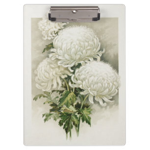 Carpeta De Pinza Crisantemo - Botánica Vintage elegante