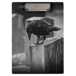 Carpeta De Pinza Crow en el cementerio caído