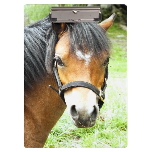 CARPETA DE PINZA CUTE BROWN PONY (Anverso)