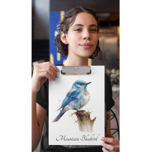 Carpeta De Pinza Cute Little Mountain Bluebird Watercolor, personal