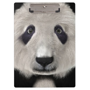 Carpeta De Pinza Cute Panda Bear Kawaii Animal Lover Perfecto Regal