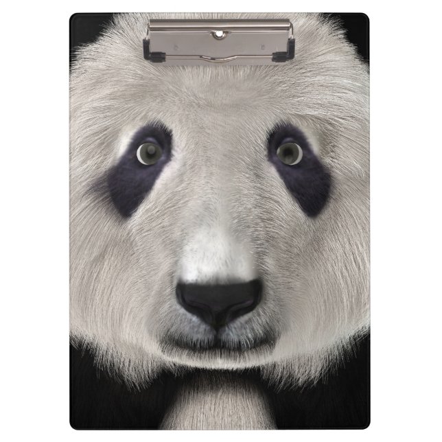 Carpeta De Pinza Cute Panda Bear Kawaii Animal Lover Perfecto Regal (Anverso)